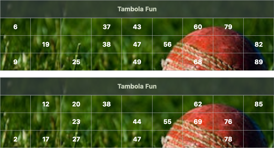 black cricket ball tambola tickets