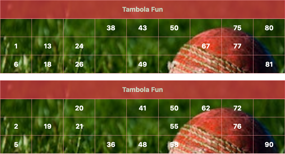 red cricket ball tambola tickets