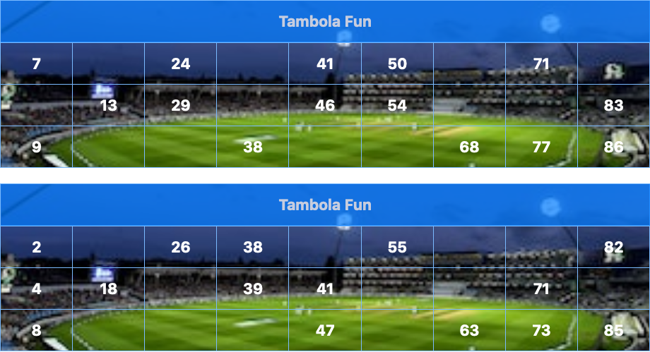 blue cricket stadium tambola tickets
